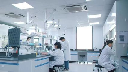 創新動能持續激發，“松江科技”榮膺22項年度上海市科學技術獎，引領新興能源技術研發